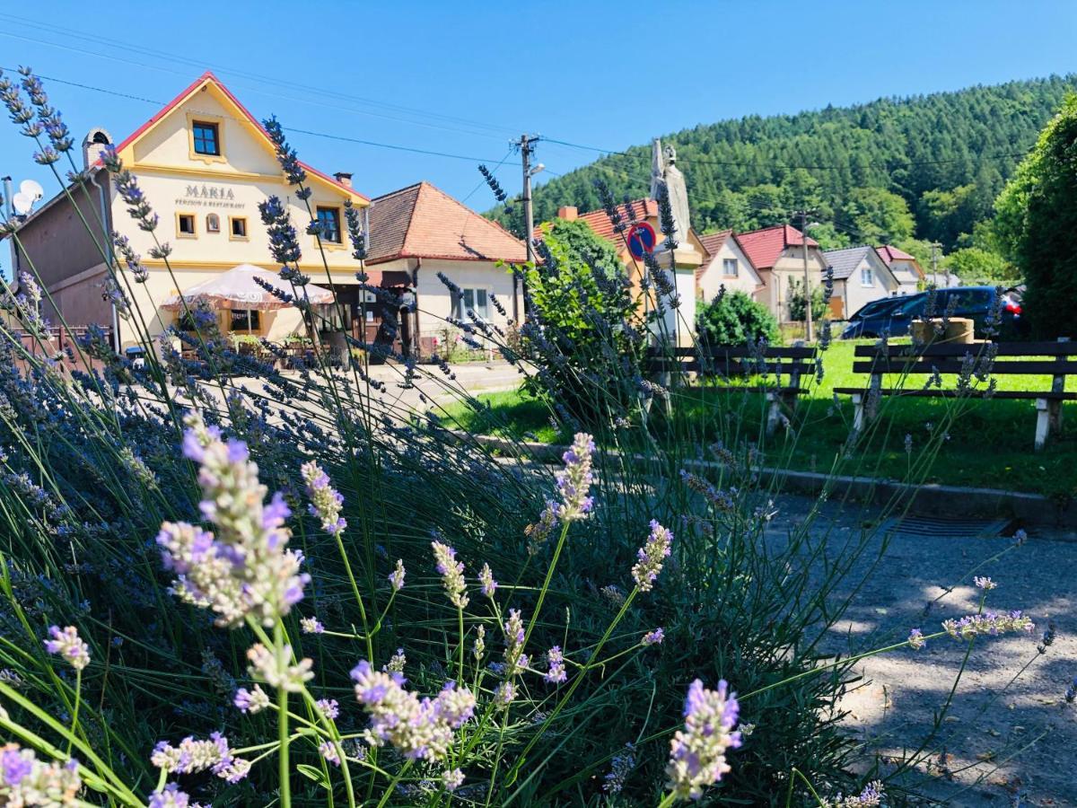 Maria Penzion & Restaurant Trenčín エクステリア 写真
